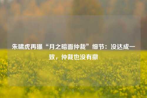 朱啸虎再曝“月之暗面仲裁”细节：没达成一致，仲裁也没有撤