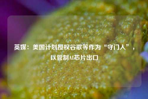 英媒：美国计划授权谷歌等作为“守门人”，以管制AI芯片出口