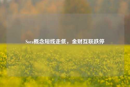 Sora概念短线走低，金财互联跌停