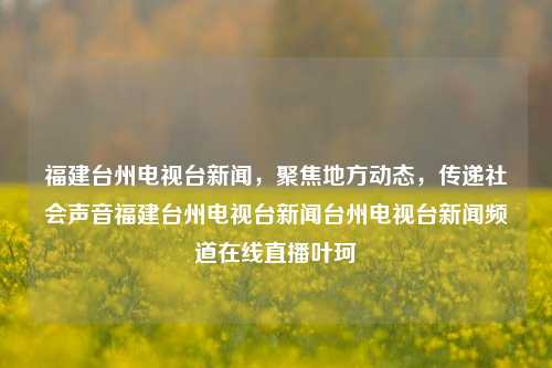 福建台州电视台新闻，聚焦地方动态，传递社会声音福建台州电视台新闻台州电视台新闻频道在线直播叶珂