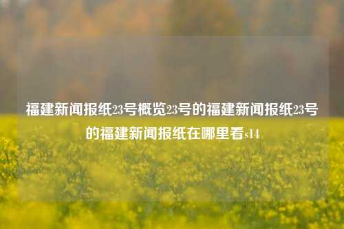 福建新闻报纸23号概览23号的福建新闻报纸23号的福建新闻报纸在哪里看s14