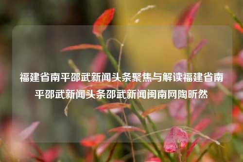 福建省南平邵武新闻头条聚焦与解读福建省南平邵武新闻头条邵武新闻闽南网陶昕然