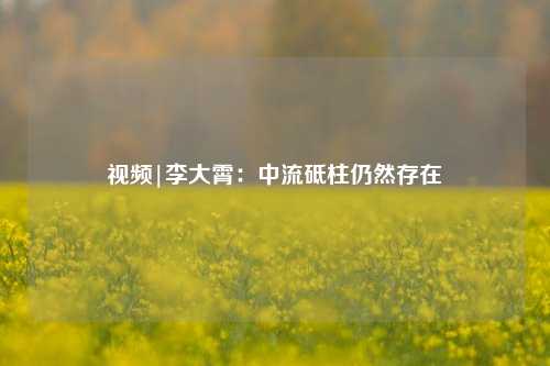 视频|李大霄：中流砥柱仍然存在