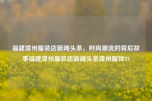 福建漳州服装店新闻头条，时尚潮流的背后故事福建漳州服装店新闻头条漳州服饰TS