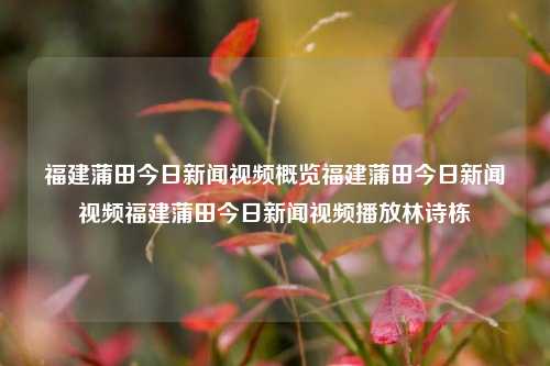 福建蒲田今日新闻视频概览福建蒲田今日新闻视频福建蒲田今日新闻视频播放林诗栋