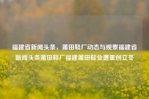 福建省新闻头条，莆田鞋厂动态与观察福建省新闻头条莆田鞋厂福建莆田鞋业遭重创立冬