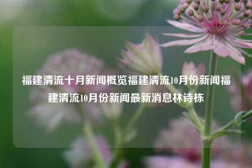 福建清流十月新闻概览福建清流10月份新闻福建清流10月份新闻最新消息林诗栋