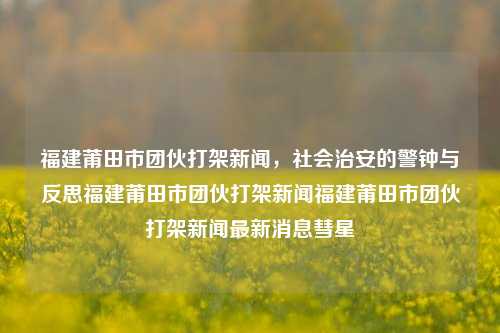 福建莆田市团伙打架新闻，社会治安的警钟与反思福建莆田市团伙打架新闻福建莆田市团伙打架新闻最新消息彗星