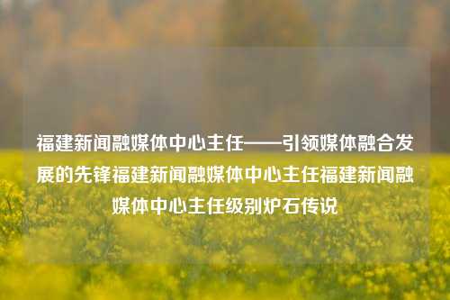 福建新闻融媒体中心主任——引领媒体融合发展的先锋福建新闻融媒体中心主任福建新闻融媒体中心主任级别炉石传说