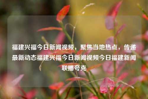 福建兴福今日新闻视频，聚焦当地热点，传递最新动态福建兴福今日新闻视频今日福建新闻联播夸克