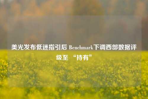 美光发布低迷指引后 Benchmark下调西部数据评级至 “持有”