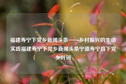 福建寿宁下党乡新闻头条——乡村振兴的生动实践福建寿宁下党乡新闻头条宁德寿宁县下党乡叶珂