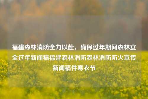 福建森林消防全力以赴，确保过年期间森林安全过年新闻稿福建森林消防森林消防防火宣传新闻稿件寒衣节