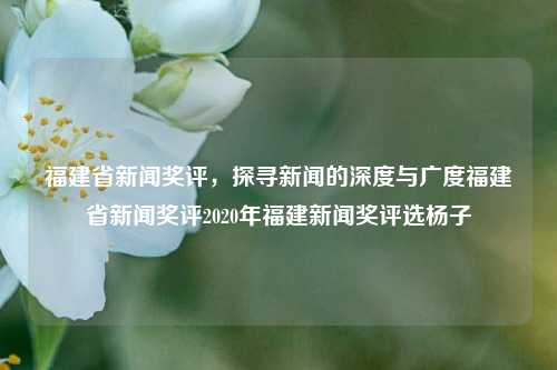 福建省新闻奖评，探寻新闻的深度与广度福建省新闻奖评2020年福建新闻奖评选杨子