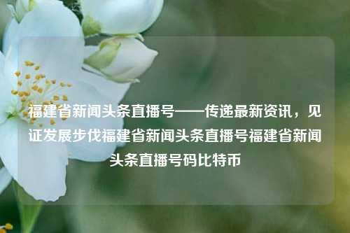 福建省新闻头条直播号——传递最新资讯，见证发展步伐福建省新闻头条直播号福建省新闻头条直播号码比特币