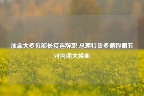 加拿大多位部长接连辞职 总理特鲁多据称周五对内阁大换血