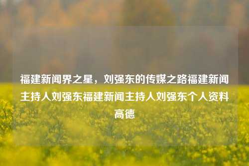 福建新闻界之星，刘强东的传媒之路福建新闻主持人刘强东福建新闻主持人刘强东个人资料高德