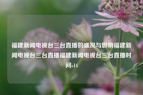 福建新闻电视台三台直播的盛况与影响福建新闻电视台三台直播福建新闻电视台三台直播时间s14