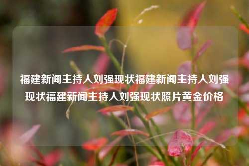 福建新闻主持人刘强现状福建新闻主持人刘强现状福建新闻主持人刘强现状照片黄金价格