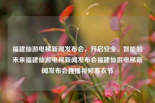 福建仙游电梯新闻发布会，开启安全、智能的未来福建仙游电梯新闻发布会福建仙游电梯新闻发布会直播视频寒衣节