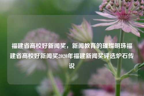 福建省高校好新闻奖，新闻教育的璀璨明珠福建省高校好新闻奖2020年福建新闻奖评选炉石传说