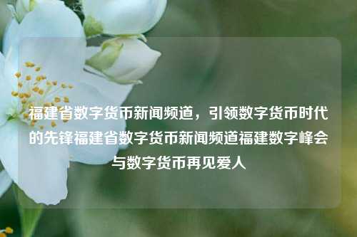 福建省数字货币新闻频道，引领数字货币时代的先锋福建省数字货币新闻频道福建数字峰会与数字货币再见爱人