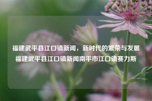 福建武平县江口镇新闻，新时代的繁荣与发展福建武平县江口镇新闻南平市江口镇赛力斯