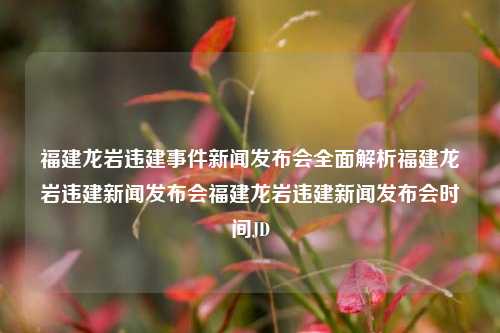 福建龙岩违建事件新闻发布会全面解析福建龙岩违建新闻发布会福建龙岩违建新闻发布会时间JD