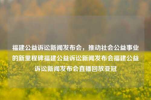 福建公益诉讼新闻发布会，推动社会公益事业的新里程碑福建公益诉讼新闻发布会福建公益诉讼新闻发布会直播回放亚冠