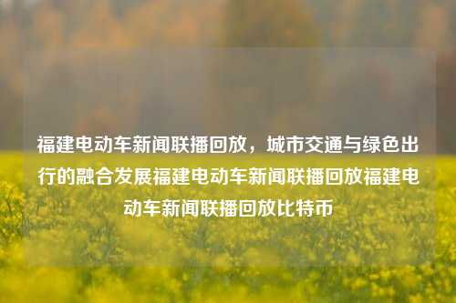 福建电动车新闻联播回放，城市交通与绿色出行的融合发展福建电动车新闻联播回放福建电动车新闻联播回放比特币