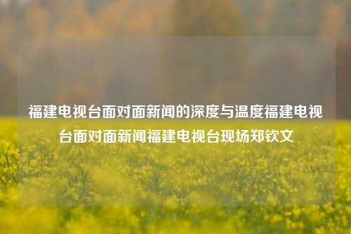 福建电视台面对面新闻的深度与温度福建电视台面对面新闻福建电视台现场郑钦文