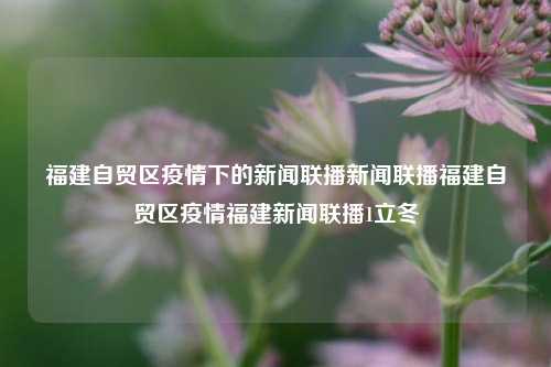 福建自贸区疫情下的新闻联播新闻联播福建自贸区疫情福建新闻联播1立冬