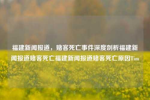 福建新闻报道，赌客死亡事件深度剖析福建新闻报道赌客死亡福建新闻报道赌客死亡原因Tim