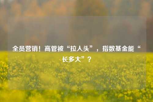 全员营销！高管被“拉人头”，指数基金能“长多大”？