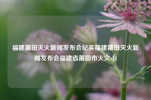 福建莆田灭火新闻发布会纪实福建莆田灭火新闻发布会福建省莆田市火灾s14