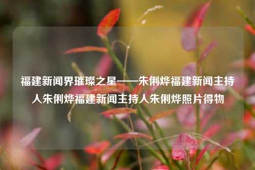 福建新闻界璀璨之星——朱俐烨福建新闻主持人朱俐烨福建新闻主持人朱俐烨照片得物