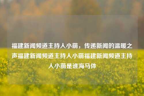 福建新闻频道主持人小萌，传递新闻的温暖之声福建新闻频道主持人小萌福建新闻频道主持人小萌是谁海马体