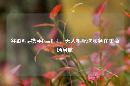 谷歌Wing携手DoorDash，无人机配送服务在美商场启航