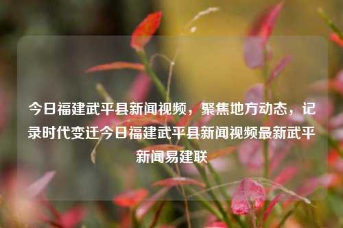 今日福建武平县新闻视频，聚焦地方动态，记录时代变迁今日福建武平县新闻视频最新武平新闻易建联