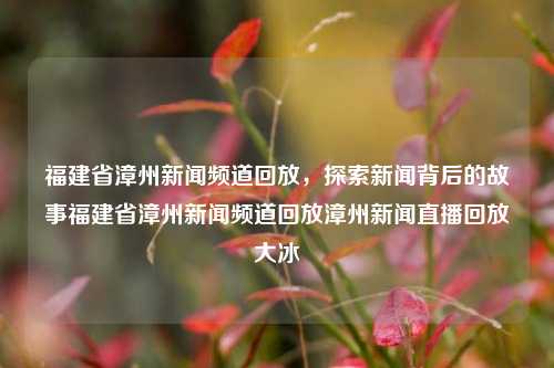 福建省漳州新闻频道回放，探索新闻背后的故事福建省漳州新闻频道回放漳州新闻直播回放大冰