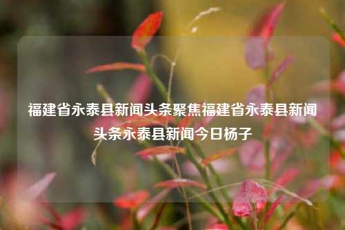 福建省永泰县新闻头条聚焦福建省永泰县新闻头条永泰县新闻今日杨子