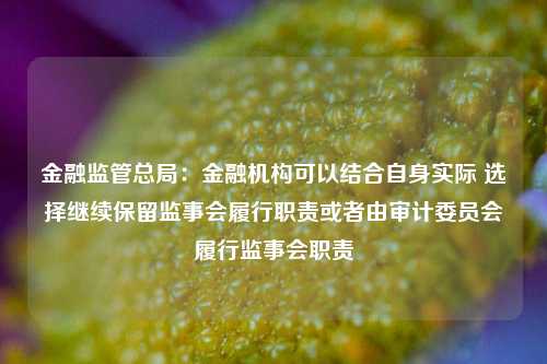 金融监管总局：金融机构可以结合自身实际 选择继续保留监事会履行职责或者由审计委员会履行监事会职责