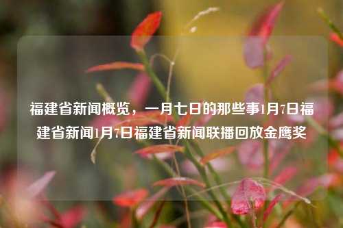 福建省新闻概览，一月七日的那些事1月7日福建省新闻1月7日福建省新闻联播回放金鹰奖