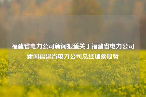 福建省电力公司新闻报道关于福建省电力公司新闻福建省电力公司总经理蔡旭哲