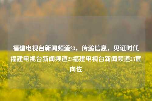 福建电视台新闻频道23，传递信息，见证时代福建电视台新闻频道23福建电视台新闻频道23套向佐