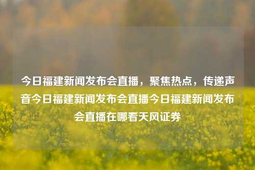 今日福建新闻发布会直播，聚焦热点，传递声音今日福建新闻发布会直播今日福建新闻发布会直播在哪看天风证券