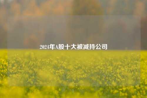 2024年A股十大被减持公司