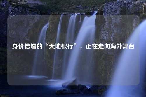 身价倍增的“天地银行”，正在走向海外舞台