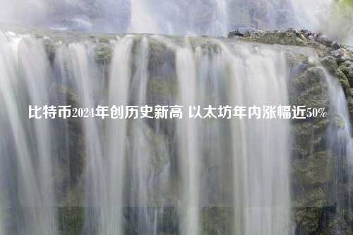 比特币2024年创历史新高 以太坊年内涨幅近50%