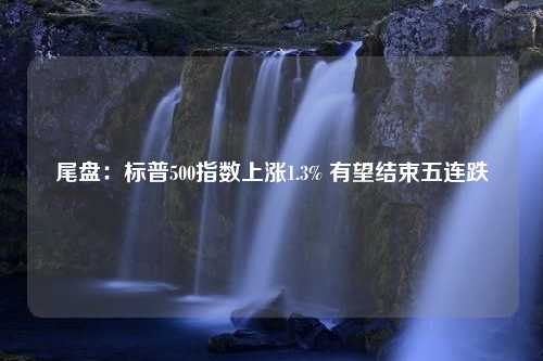 尾盘：标普500指数上涨1.3% 有望结束五连跌